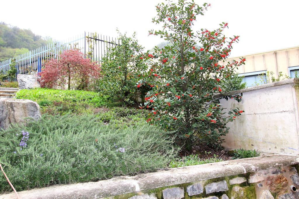 Villa Pescalina - Pescate Exterior foto